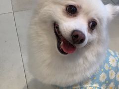 -怪兽屋·羊驼·猫咖·狗咖(俊华广场店)