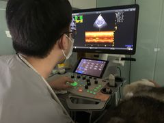 -达爱动物医院·犬猫分区·CT·复杂眼科(远洋山水分院)