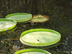 -共青国家森林公园-售票处