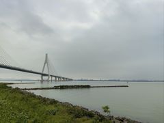-芒洲湿地公园