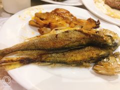 -紫金港国际饭店-自助早餐(申花路店)