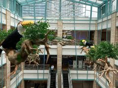 -大族广场Mall&More