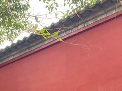 -西安市广仁寺