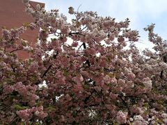 -山东大学(软件园校区)