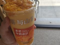 -雾与山茶(大禹城店)