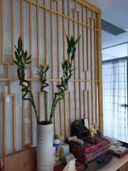 -肥三针腧穴瘦身馆