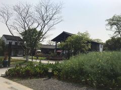 -田园东方蜜桃村的田野营地