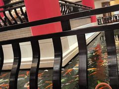 -龙悦湾酒家·八阵鱼生·渔人码头店