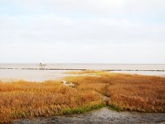 沪最南端的地方-南汇嘴观海公园