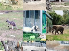 -西安秦岭野生动物园