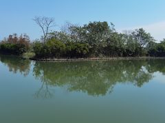 -大湾区中央湿地公园