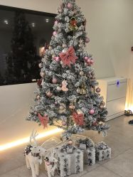 -VE专注问题肌·赛诺龙&科学美肤中心