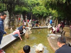 游乐设施-宝墨园景区