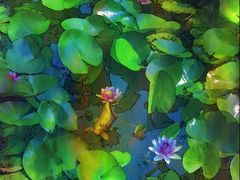 -池杉湖湿地公园