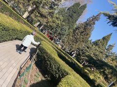 -黄村公园