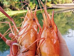 -欢乐蟹庄·精品农家乐(阳澄湖莲花岛店)