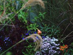 -自由生长植物工作室(深港花卉中心店)