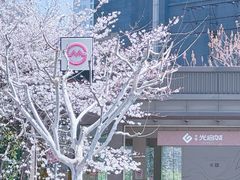 -光启城时尚购物中心