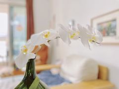 -知物癖(牛王庙店)