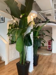 -美丽匯形象定制