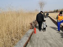 -绿堤公园