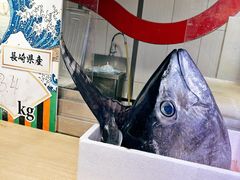 -大起水产回转寿司(道顿堀店)