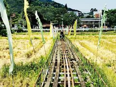 -红山村