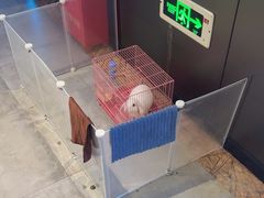 -唱吧麦颂KTV(高新店)