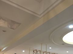 -滚猫咖啡·猫咖·猫友好撸猫(未来城店)