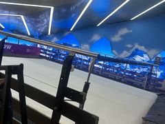 -Hopo Snow 城市滑雪空间(滨江宝龙城店)