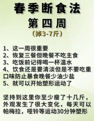 -Fundi张玉珊修身堂·indiba·BTL科技瘦身