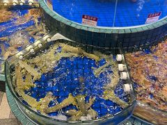 -金悦轩海鲜酒家(拱北店)