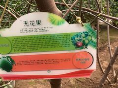 -第五季龙水凤港生态露营农场