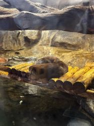 -Zoolung Zoolung动物主题公园(海信广场店)