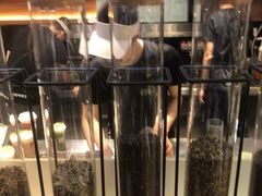 -萃茶师(琅西店)