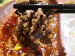 -老版火锅(半坡店)