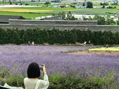 -富田农场