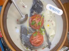 -全乐鱼馆·淳牌有机鱼直营店