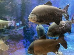 -南昌融创海世界
