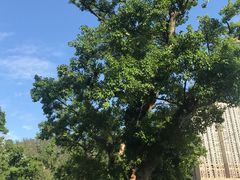 -龙环葡韵住宅式博物馆