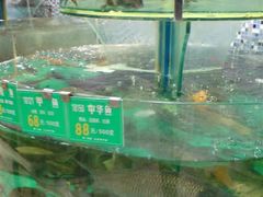 海鲜处-宁波汉通海鲜大酒店(江湾店)