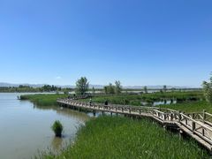 -野鸭湖国家湿地公园