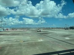 -新加坡航空公司(ION)