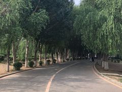 -丁香湖公园