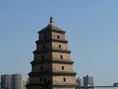 -薛昌利大米面皮(南关正街店)