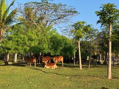 -三亚南山文化旅游区