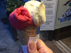 -Gelateria Dondoli