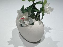 -柴门·头啖汤(天安千树店)