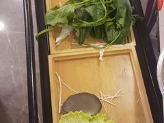 -蝎王府羊蝎子(北大地店)