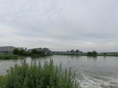 -西安浐灞国家湿地公园